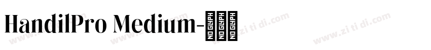 HandilPro Medium字体转换